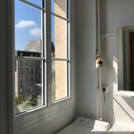 Meuble 45m2 Calme Et Lumineux Au Continental